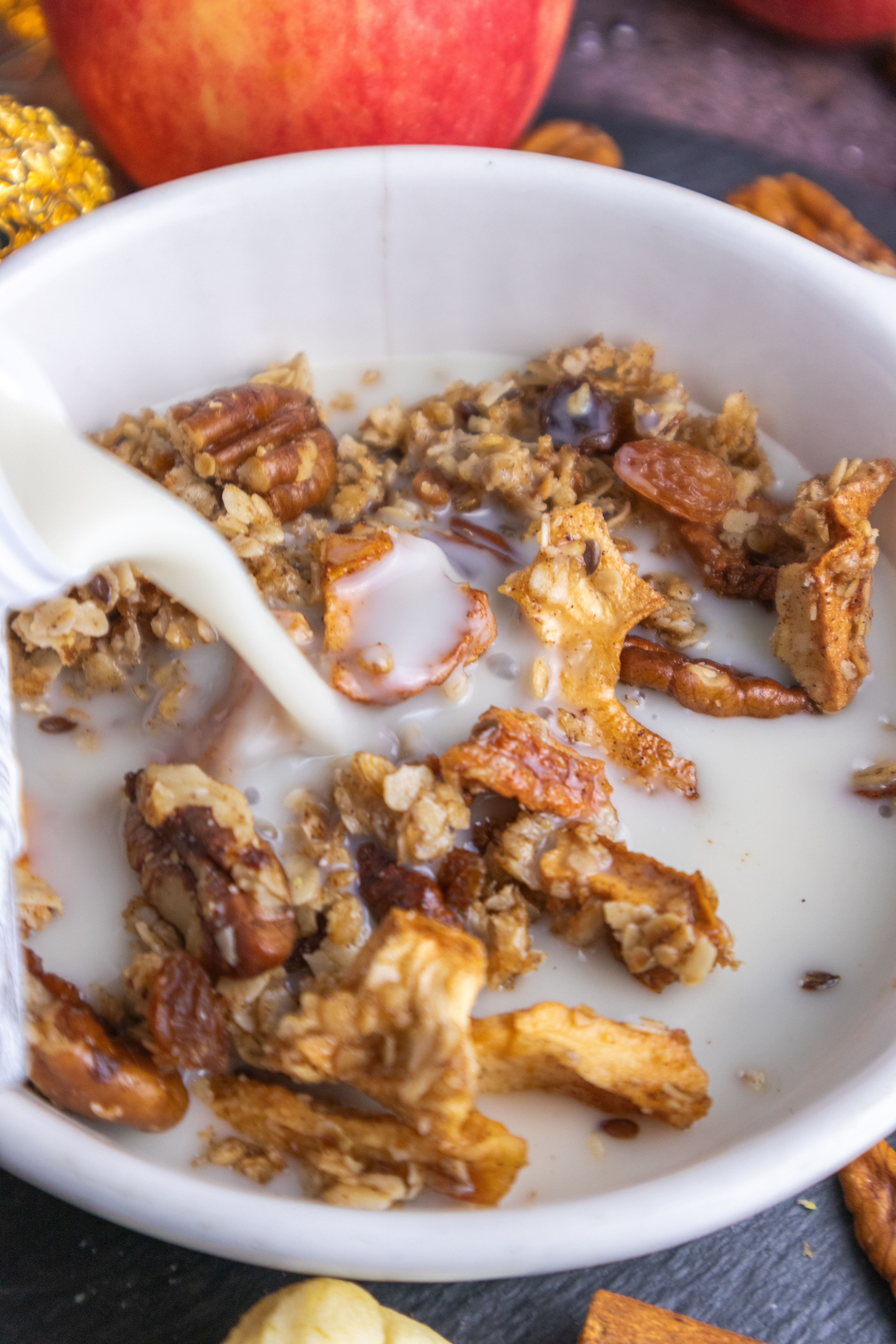 Vegan Apple Cinnamon Pecan Fall Granola Recipe